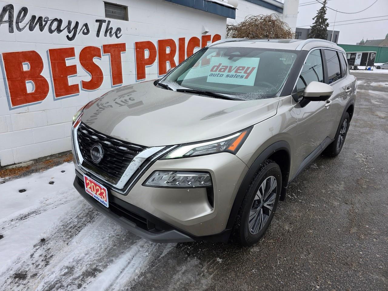 2023 Nissan Rogue SV Moonroof 4dr All-Wheel Drive Sport Utility Photo0