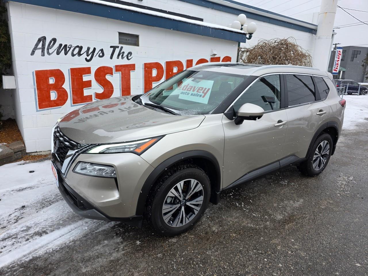 2023 Nissan Rogue SV Moonroof 4dr All-Wheel Drive Sport Utility Photo3