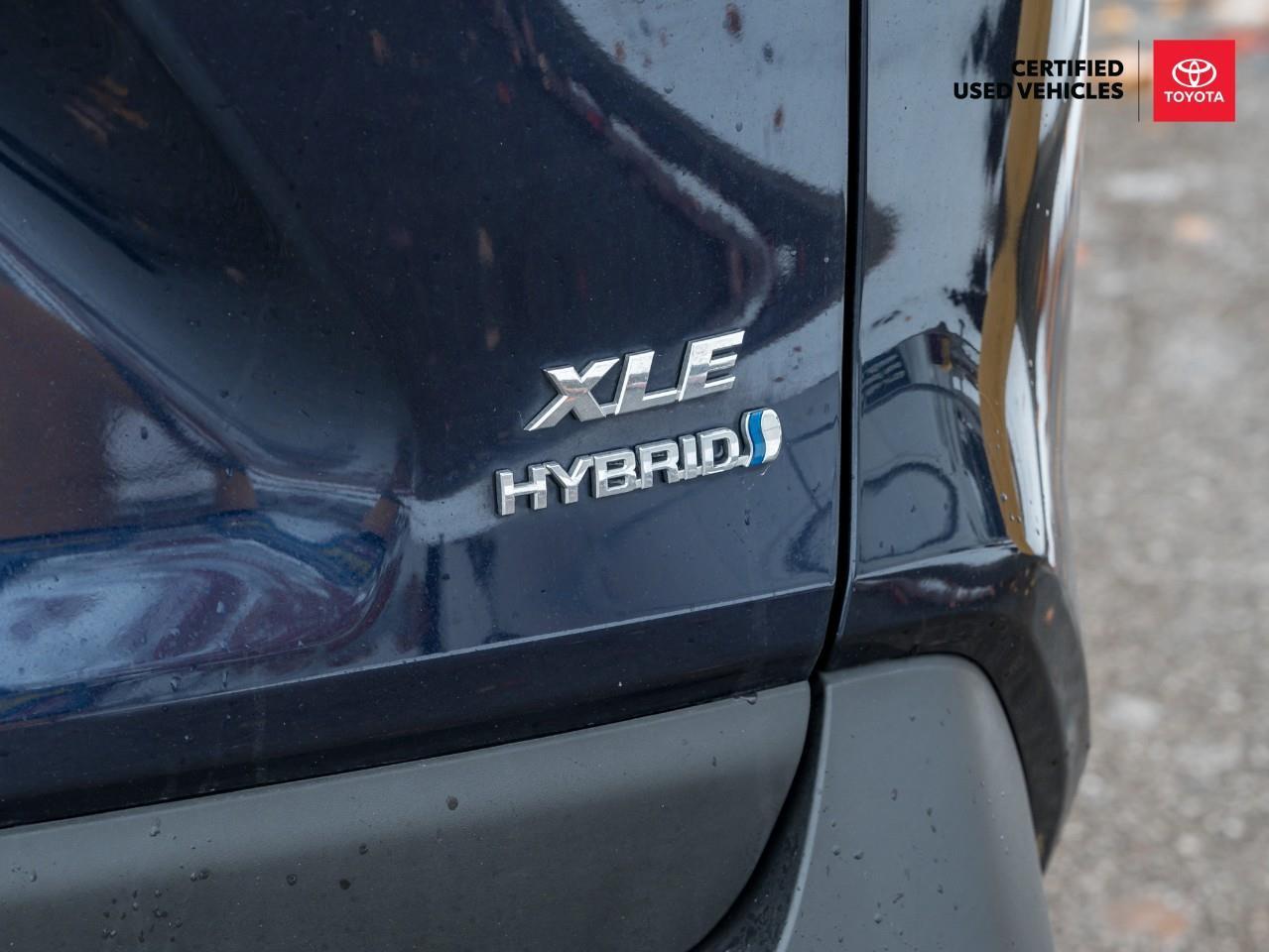 2024 Toyota RAV4 Hybrid XLE 4dr All-Wheel Drive Photo