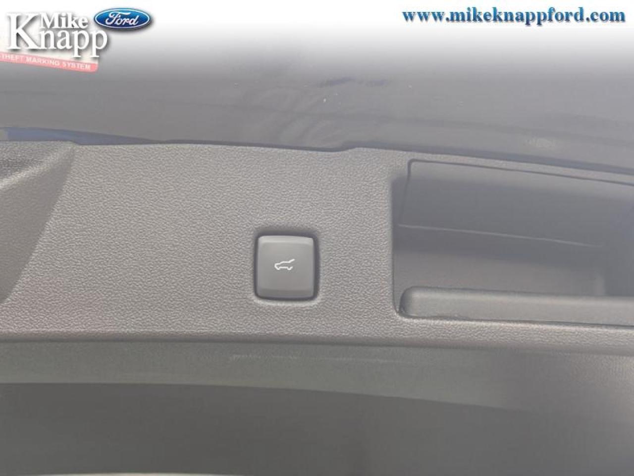 2025 Ford Escape ST-Line Photo