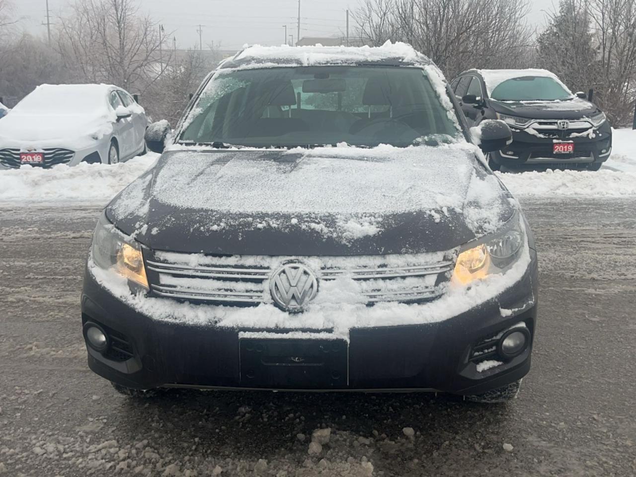 2016 Volkswagen Tiguan 4MOTION 4dr Auto Comfortline Photo