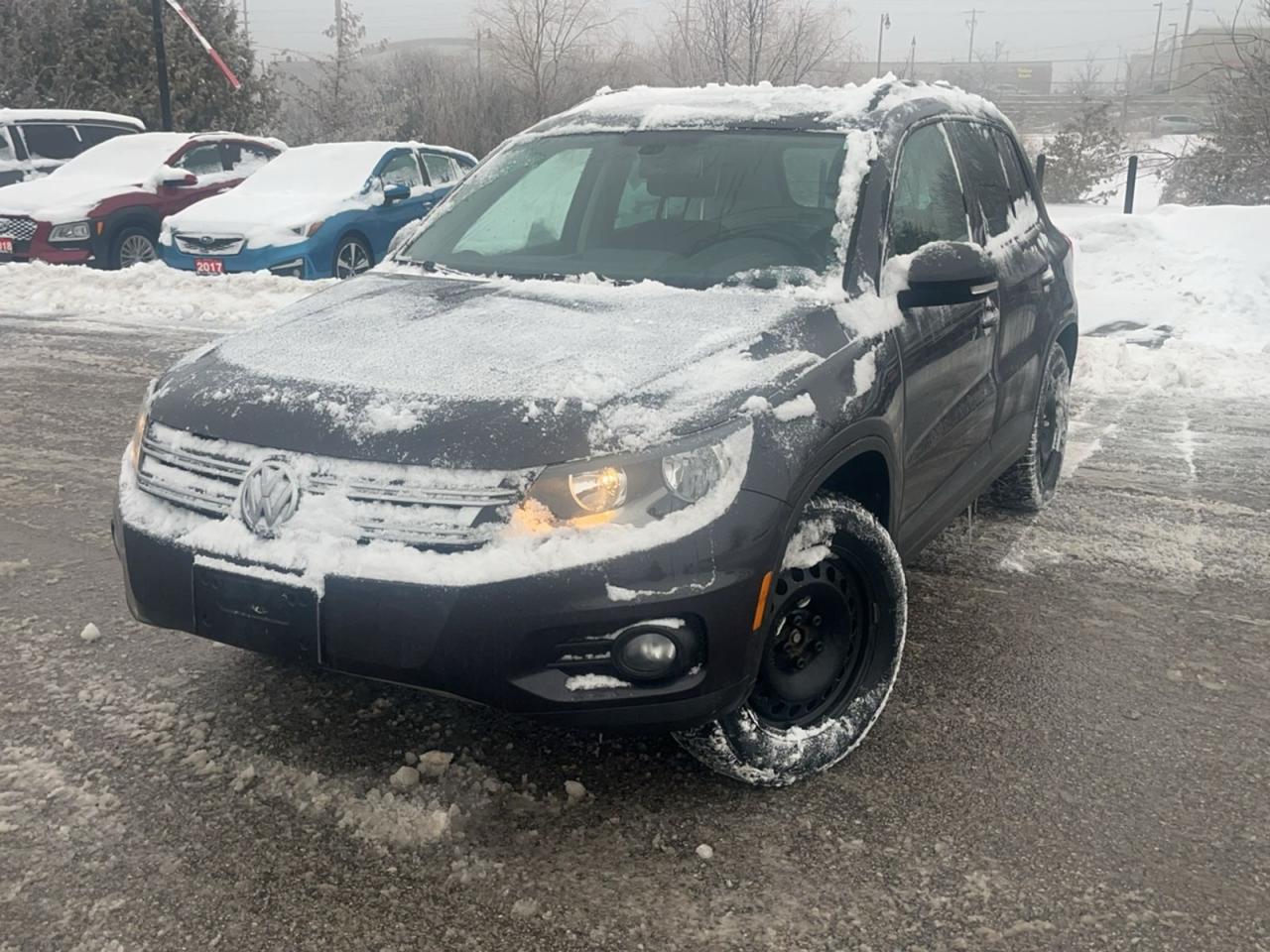 2016 Volkswagen Tiguan 4MOTION 4dr Auto Comfortline Photo