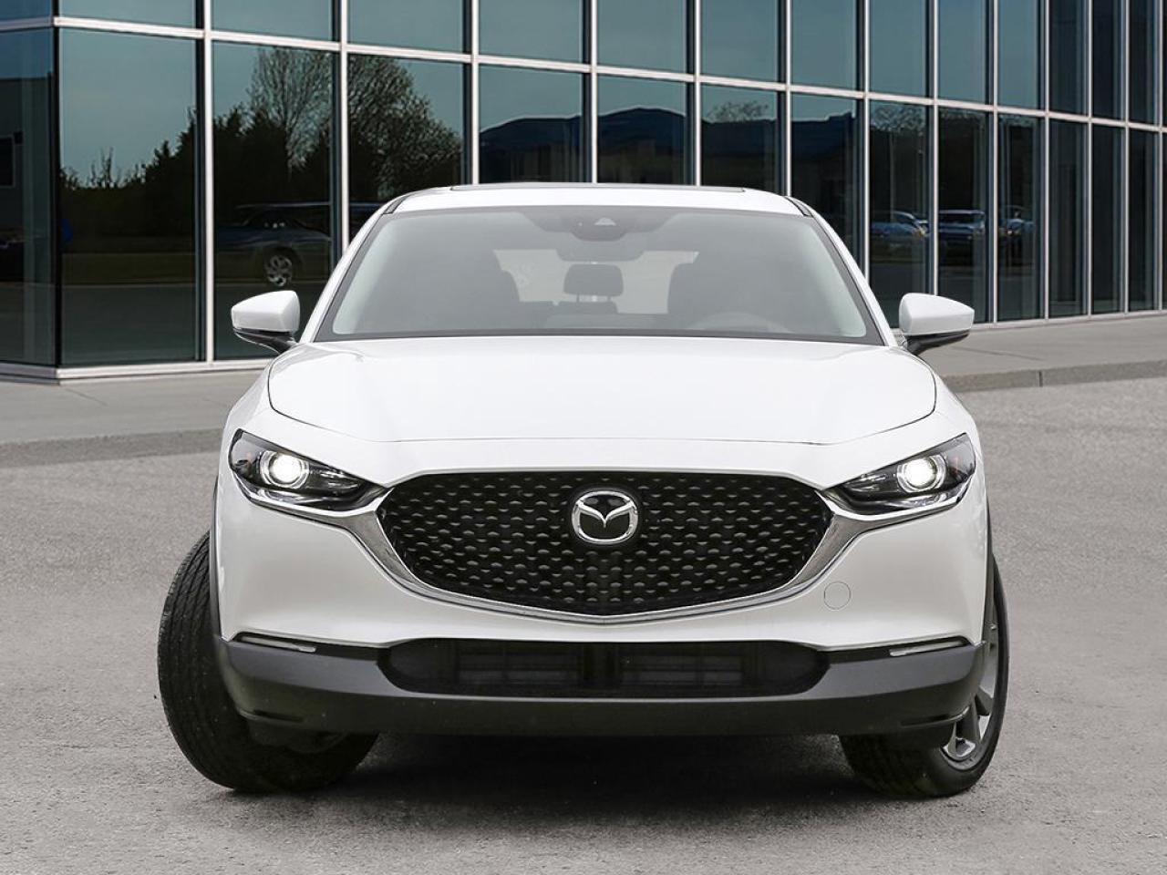 2025 Mazda CX-30 GS 4dr i-ACTIV All-Wheel Drive Sport Utility Photo