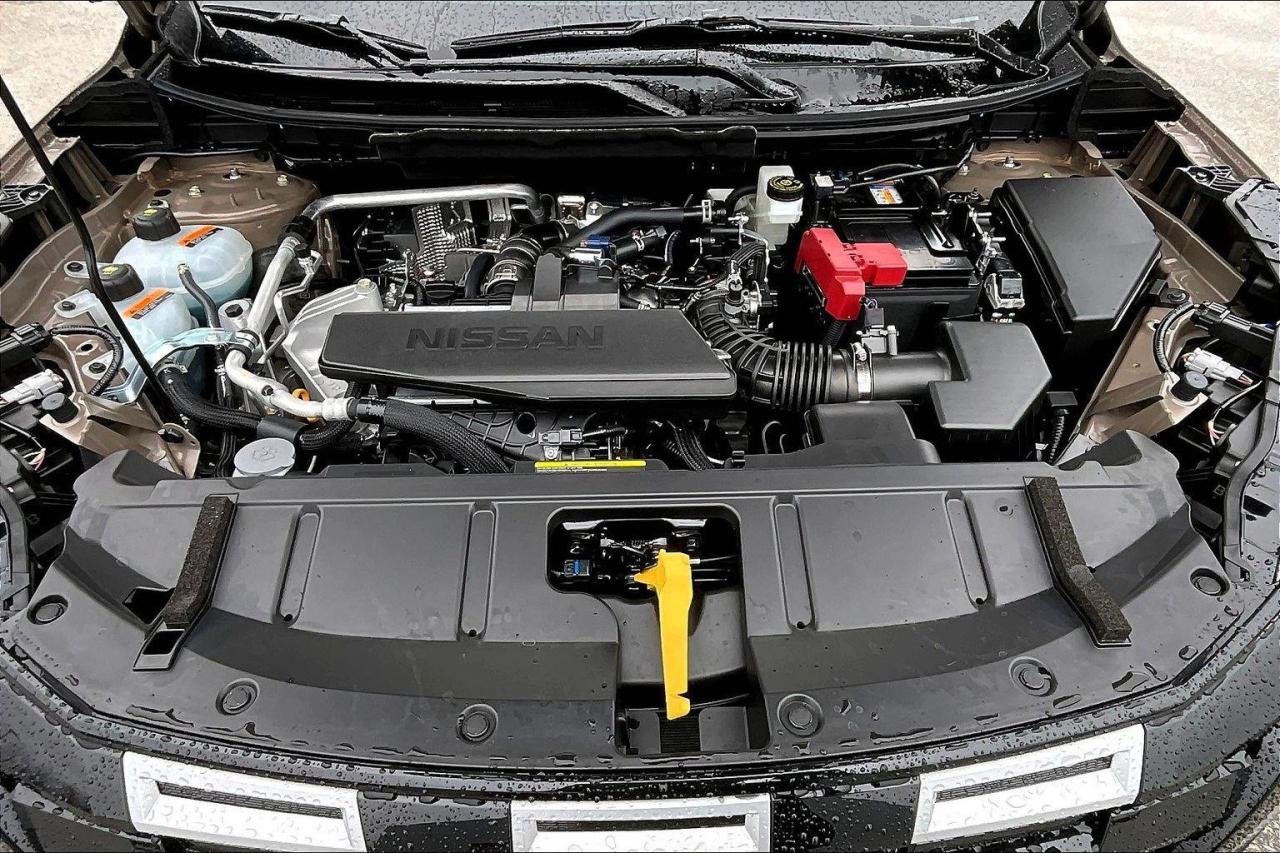 2026 Nissan Rogue Rock Creek 4dr All-Wheel Drive Sport Utility Photo