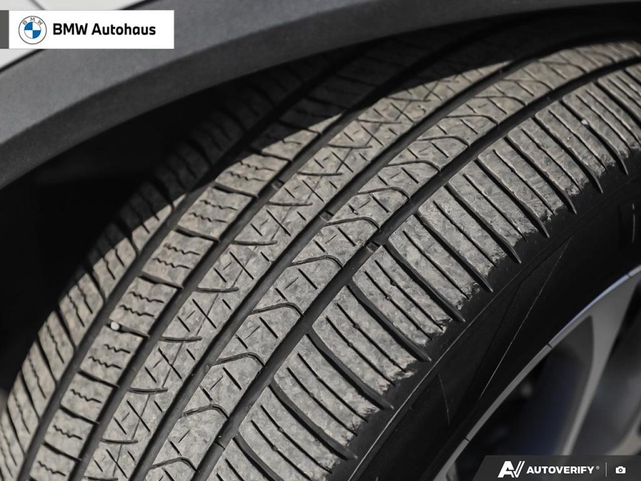 2023 BMW X5 xDrive40i Sports Activity Vehicle Photo