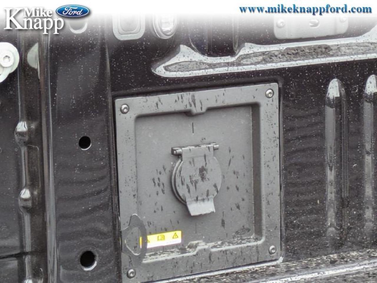 2025 Ford F-150 XLT Photo