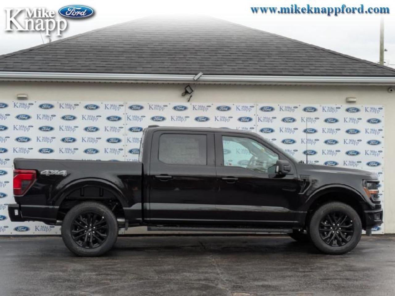 2025 Ford F-150 XLT Photo