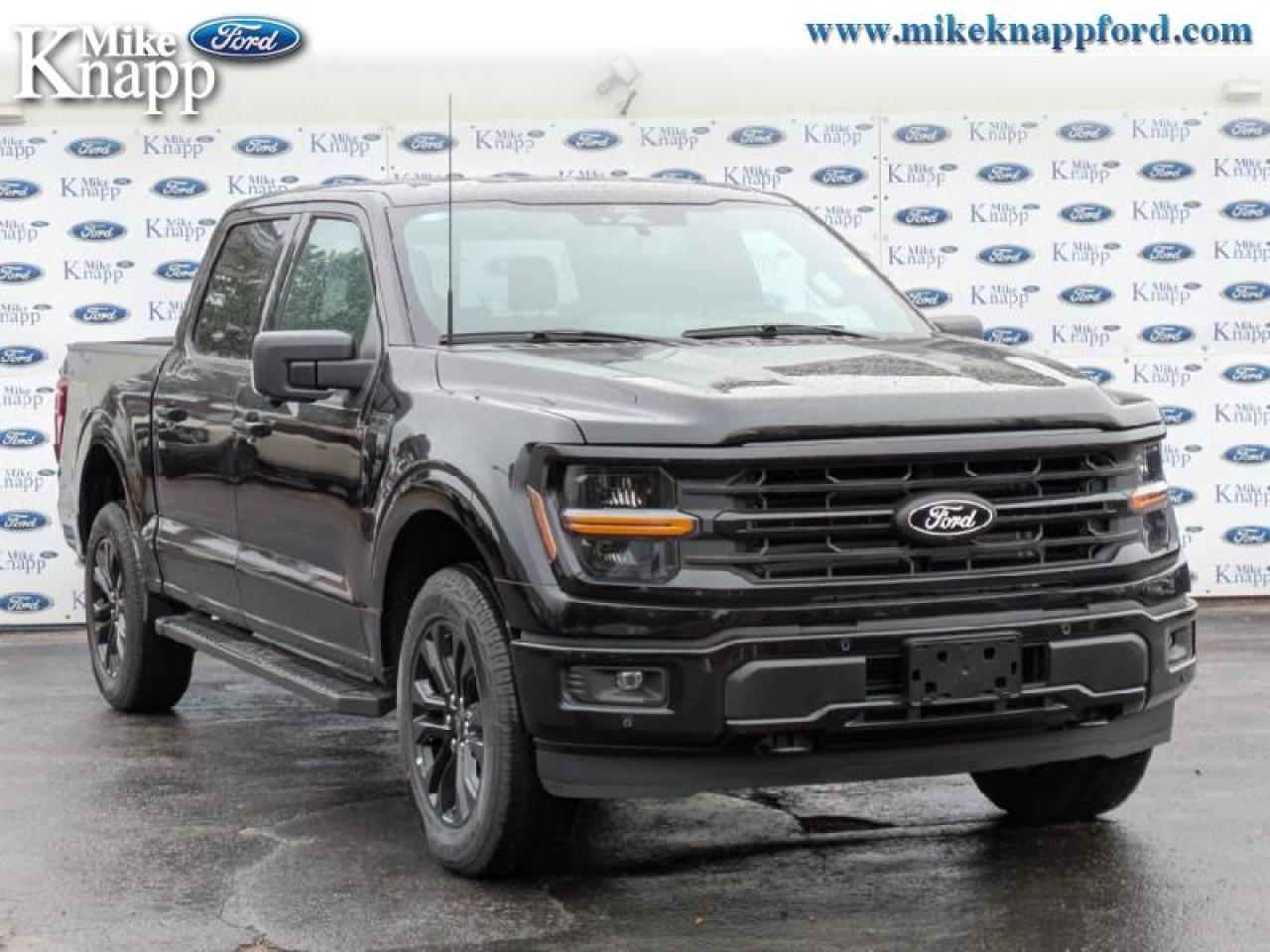 2025 Ford F-150 XLT Photo