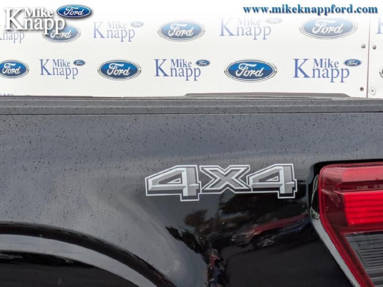 2025 Ford F-150 XLT Photo