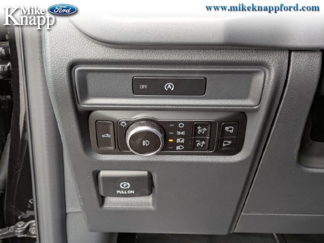 2025 Ford F-150 XLT Photo