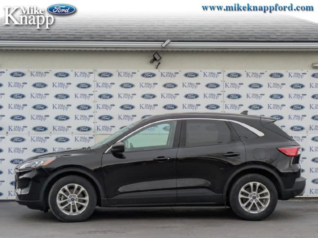 2022 Ford Escape SE Hybrid Photo