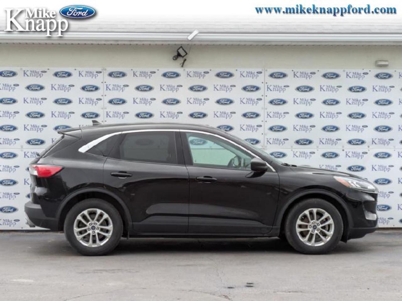 2022 Ford Escape SE Hybrid Photo