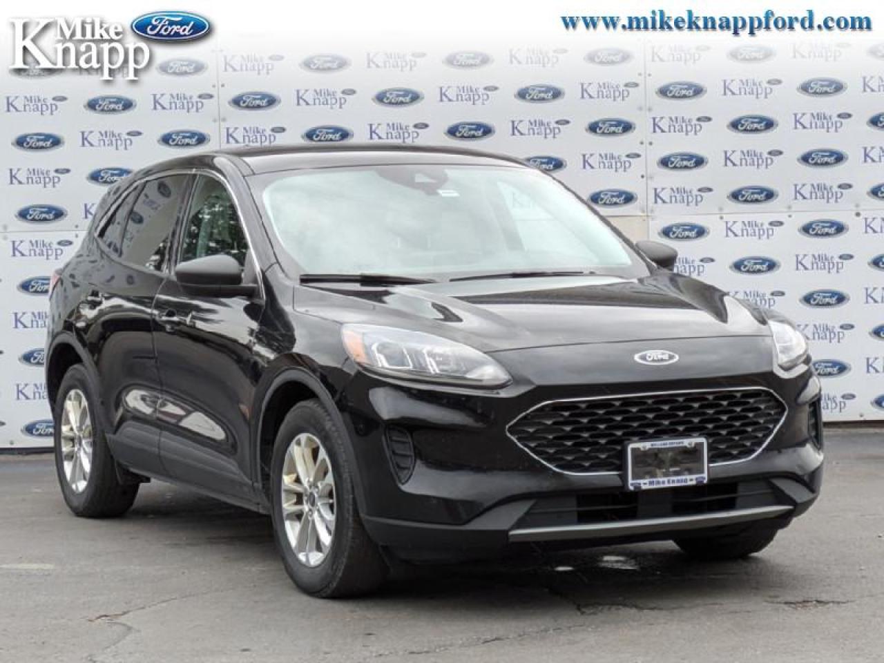 2022 Ford Escape SE Hybrid Photo