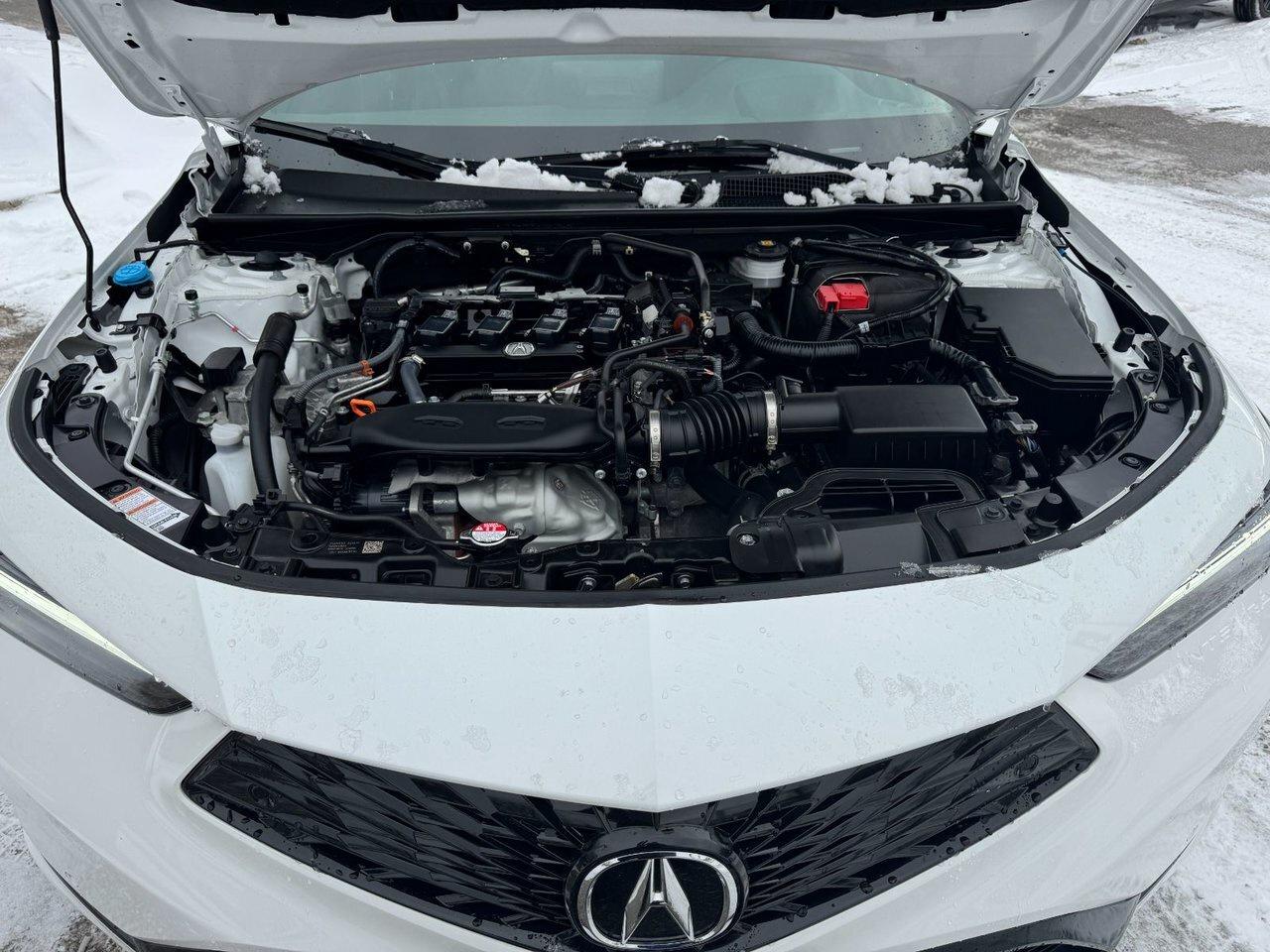 2025 Acura Integra Elite A-Spec 6 speed manual Photo