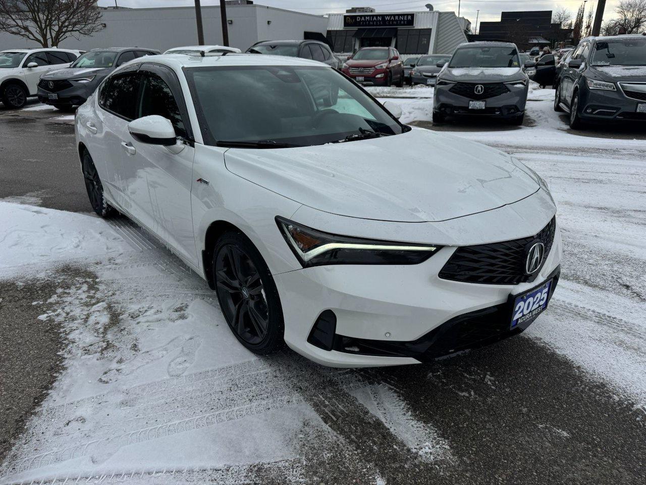 2025 Acura Integra Elite A-Spec 6 speed manual Photo