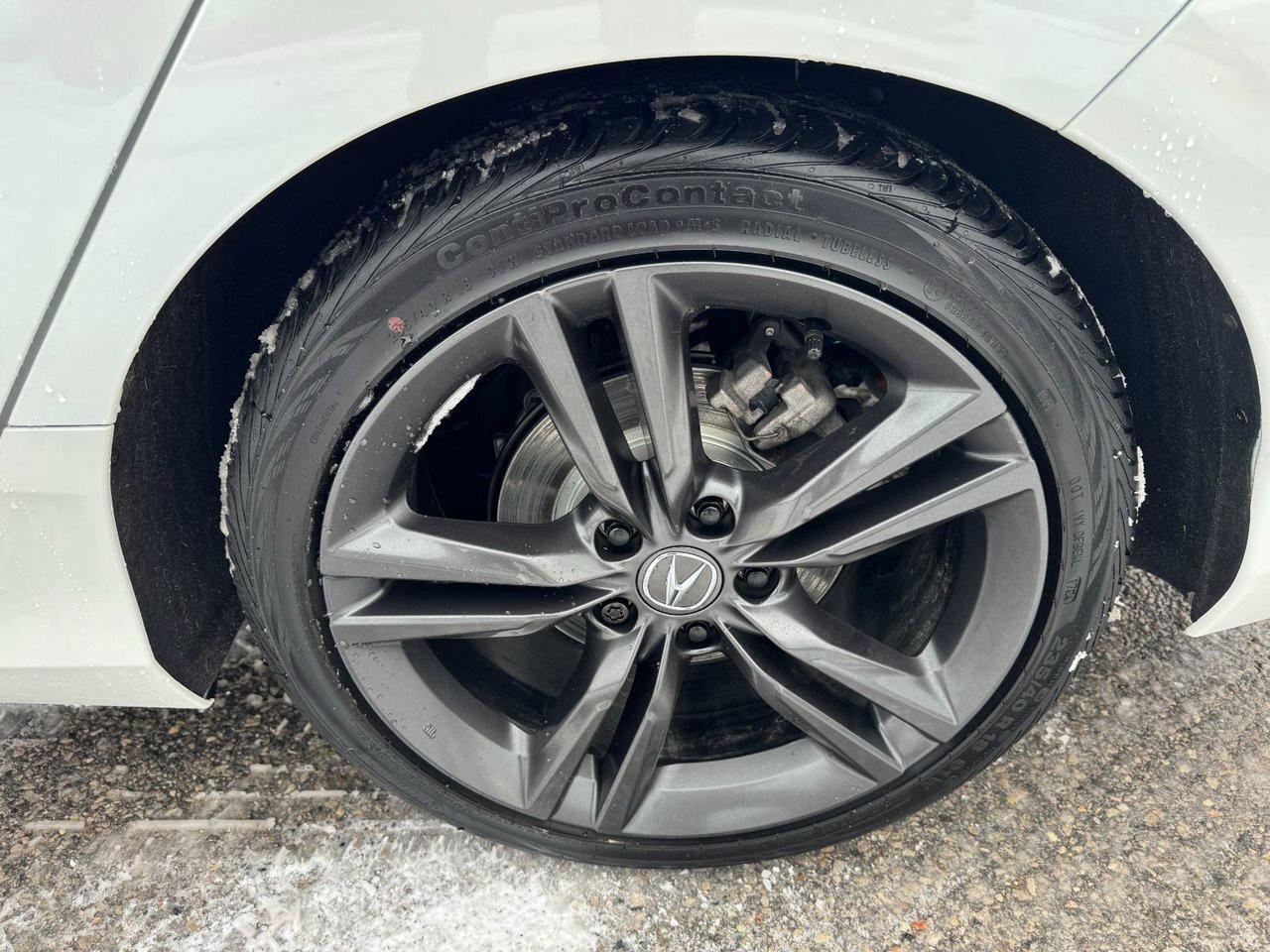 2025 Acura Integra Elite A-Spec 6 speed manual Photo