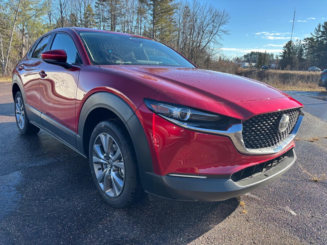 2025 Mazda CX-30 GS 4dr i-ACTIV All-Wheel Drive Sport Utility Photo