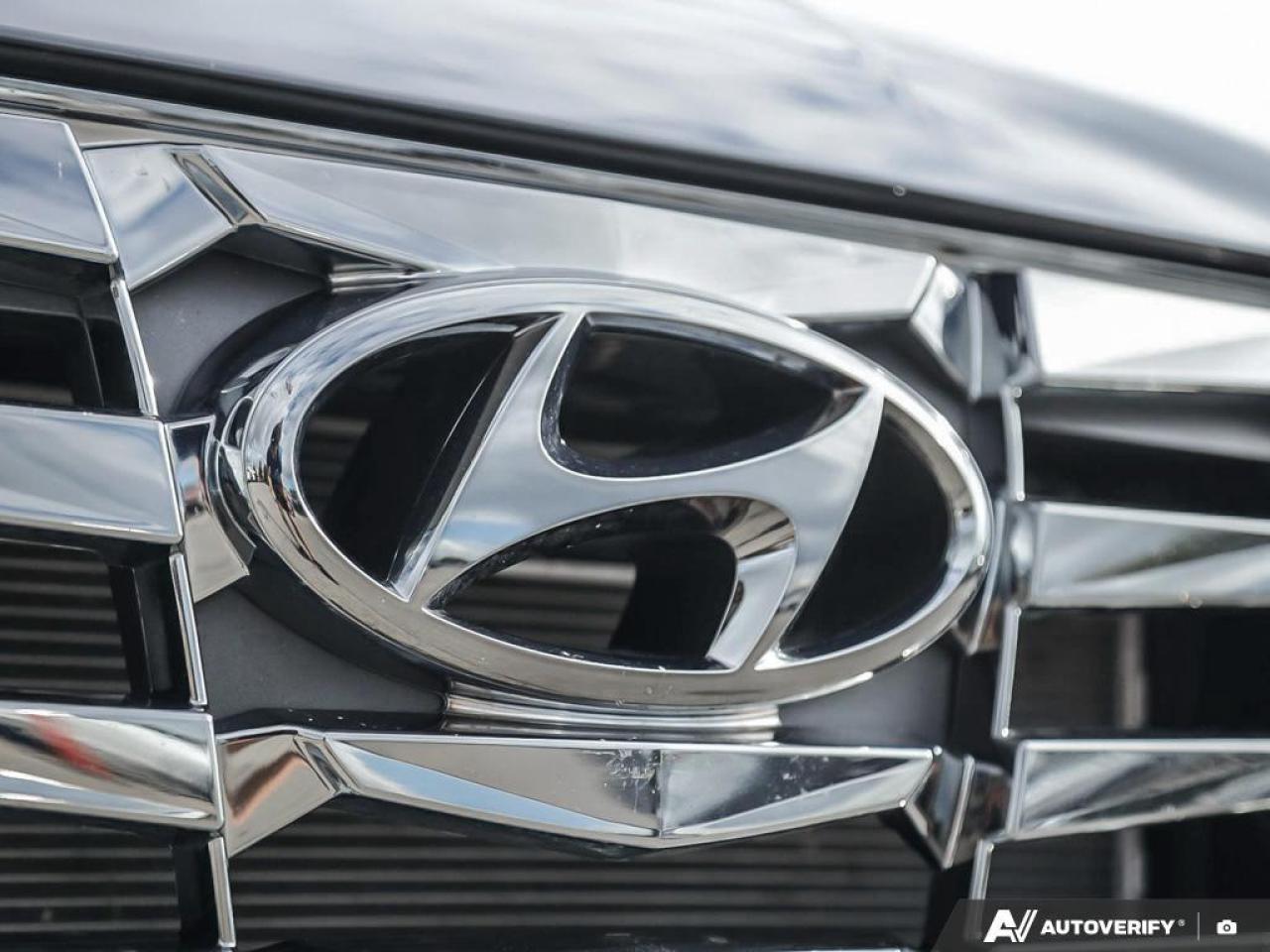 2023 Hyundai Tucson N Line 4dr All-Wheel Drive Photo