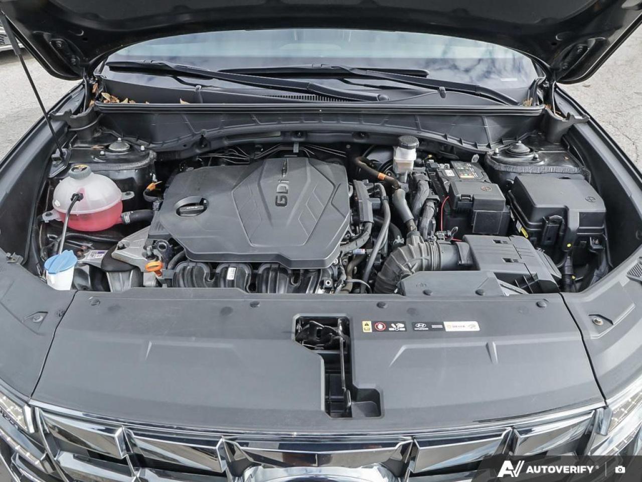 2023 Hyundai Tucson N Line 4dr All-Wheel Drive Photo