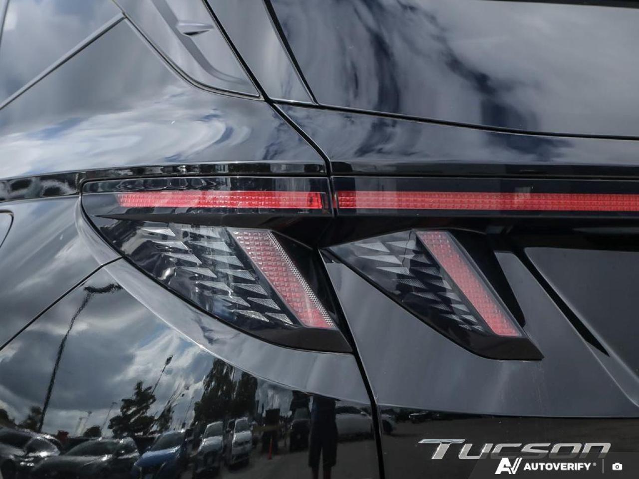 2023 Hyundai Tucson N Line 4dr All-Wheel Drive Photo