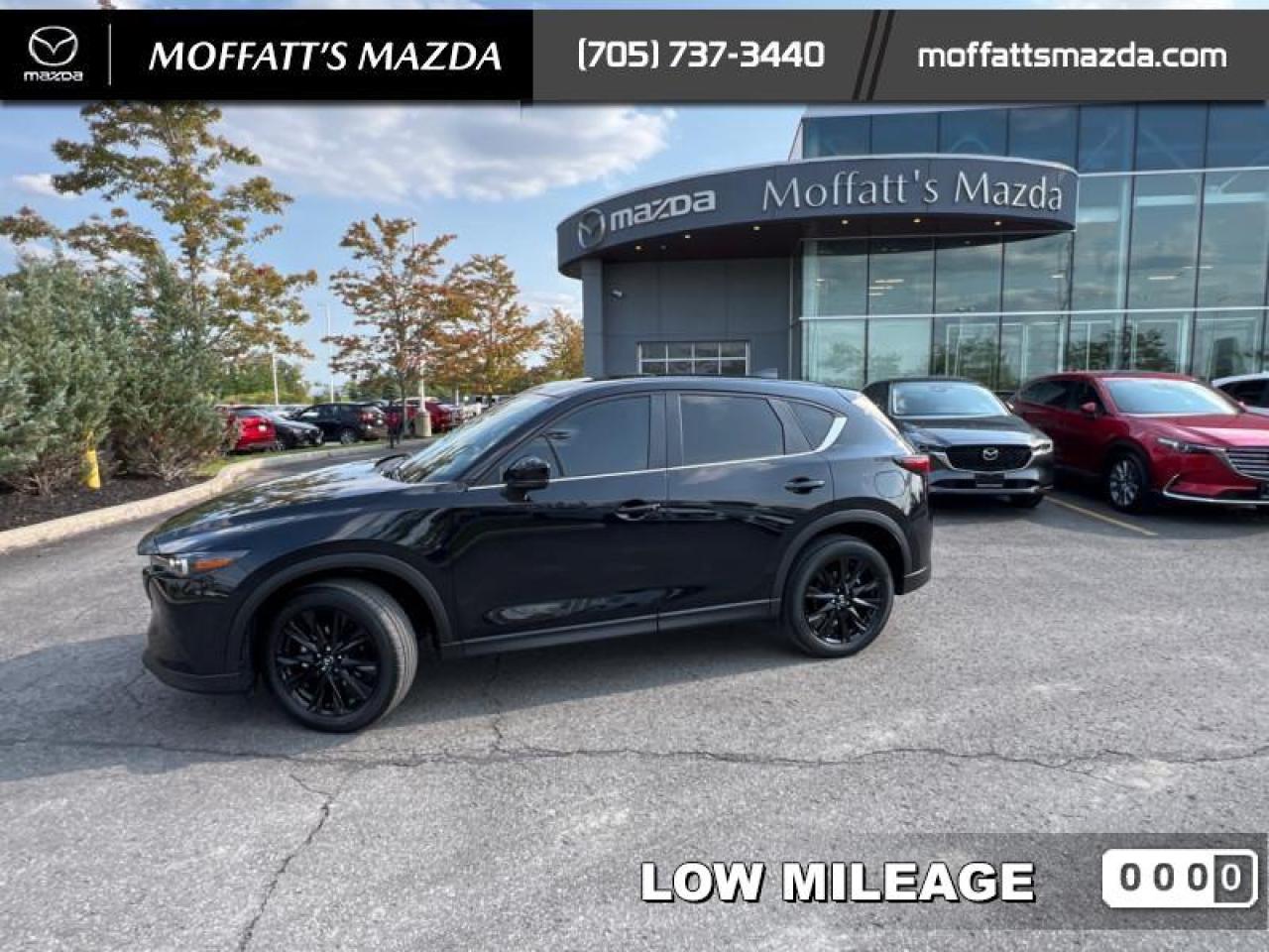 2025 Mazda CX-5 KURO Photo