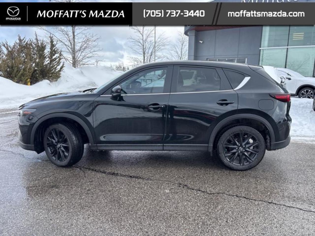 2025 Mazda CX-5 KURO Photo
