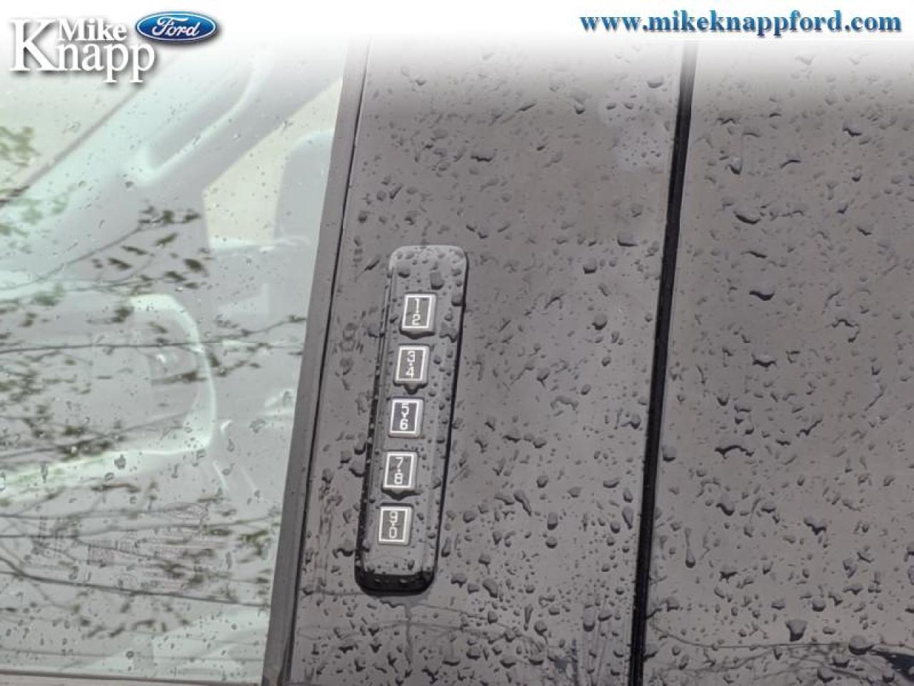 2022 Ford F-150 XLT Photo