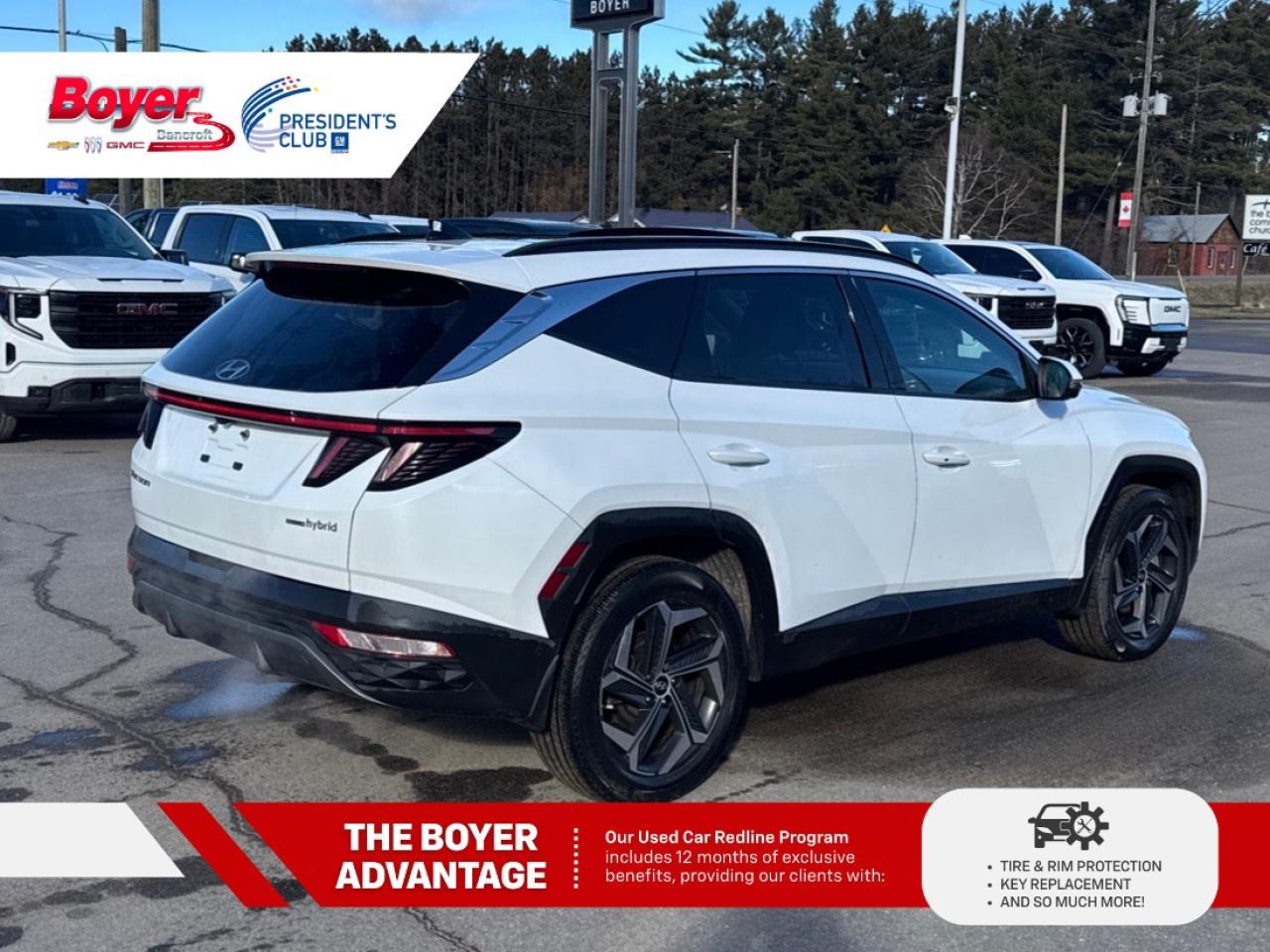 2023 Hyundai Tucson Hybrid Ultimate AWD Photo