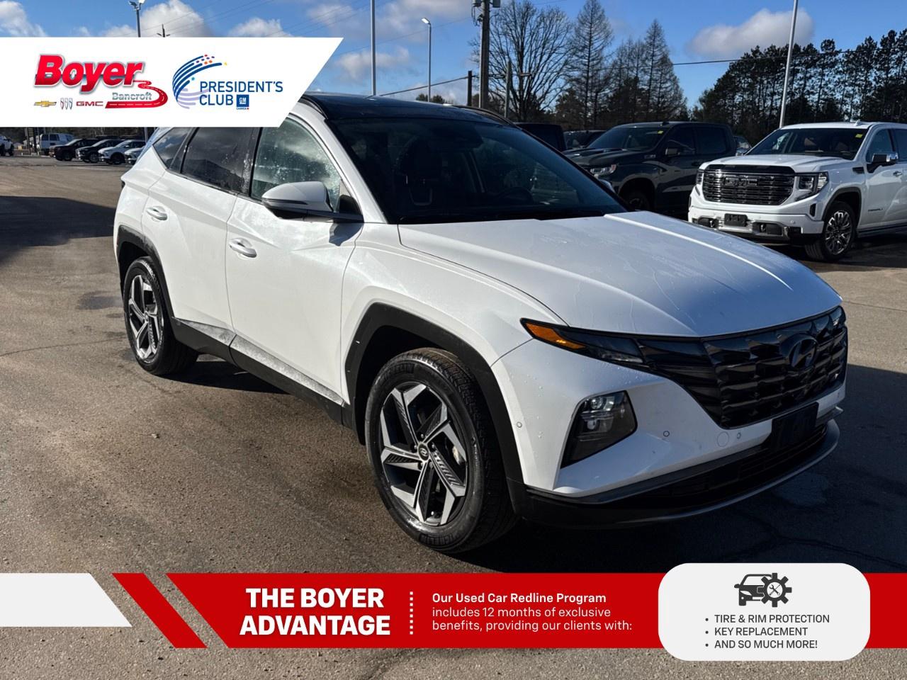 2023 Hyundai Tucson Hybrid Ultimate AWD Photo2