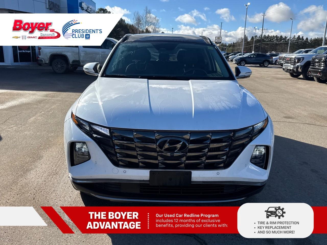 2023 Hyundai Tucson Hybrid Ultimate AWD Photo