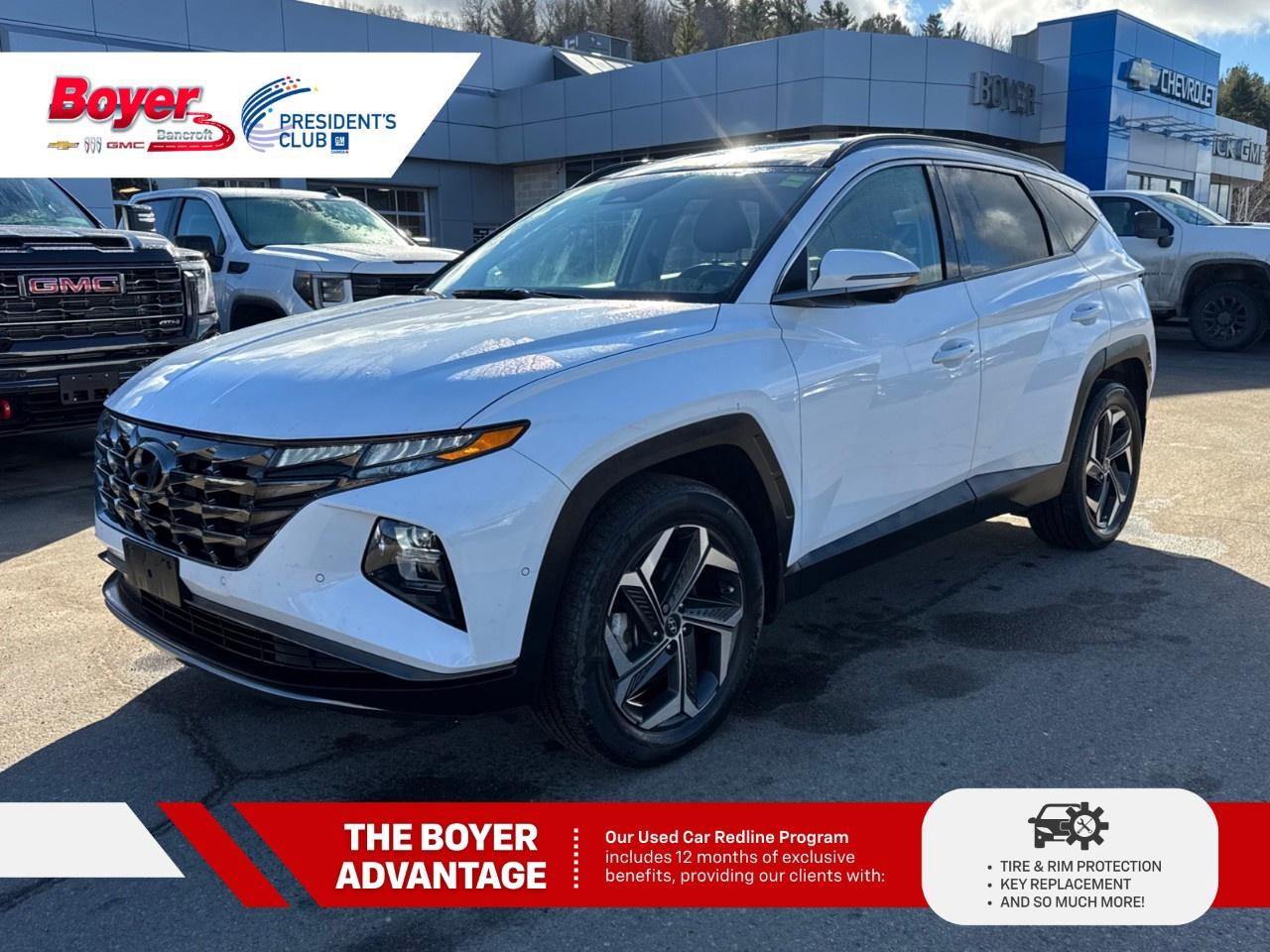 2023 Hyundai Tucson Hybrid Ultimate AWD Photo0