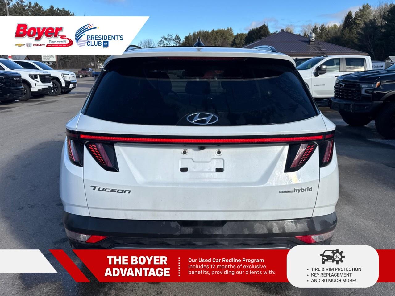 2023 Hyundai Tucson Hybrid Ultimate AWD Photo