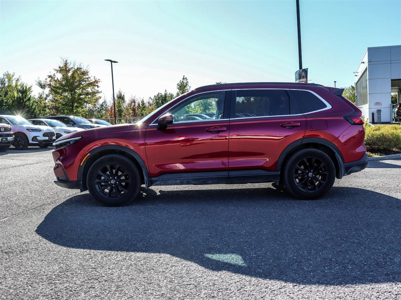 2024 Honda CR-V Sport 4dr All-Wheel Drive Photo4