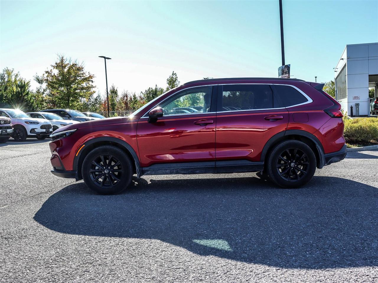 2024 Honda CR-V Sport 4dr All-Wheel Drive Photo