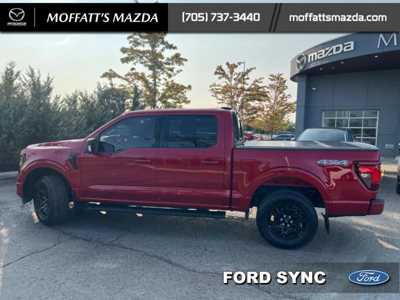 2024 Ford F-150 XLT Photo2
