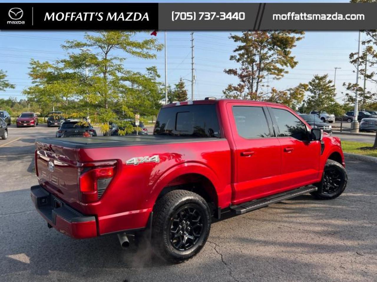 2024 Ford F-150 XLT Photo