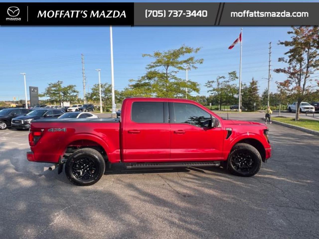 2024 Ford F-150 XLT Photo