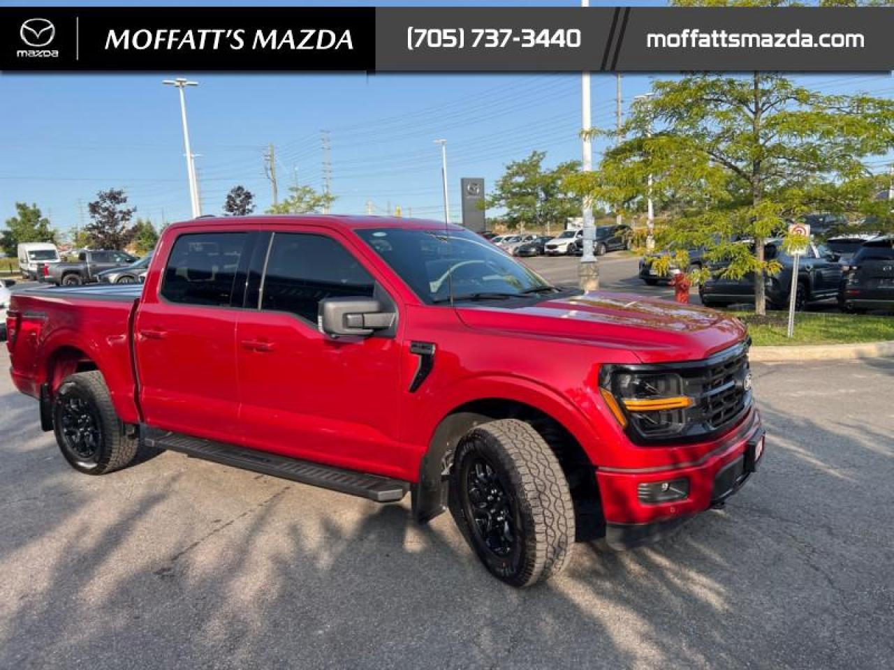 2024 Ford F-150 XLT Photo