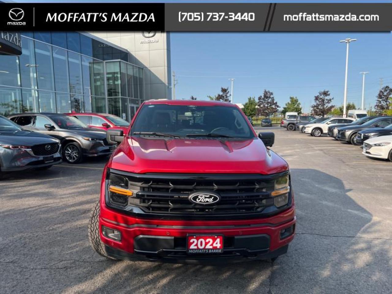 2024 Ford F-150 XLT Photo