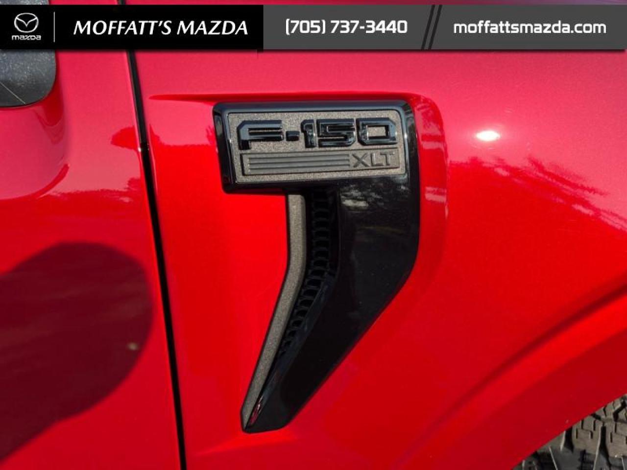 2024 Ford F-150 XLT Photo