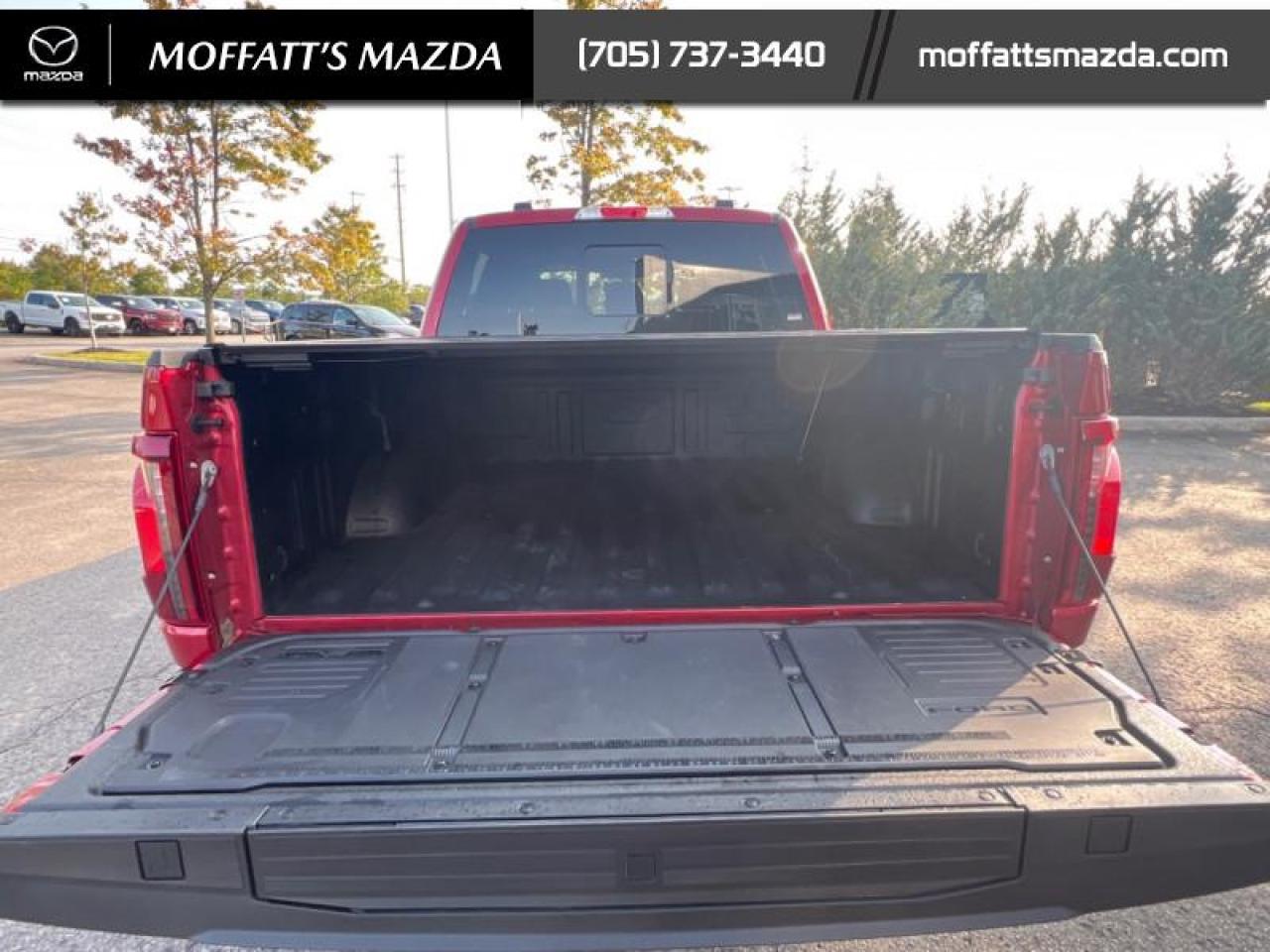 2024 Ford F-150 XLT Photo