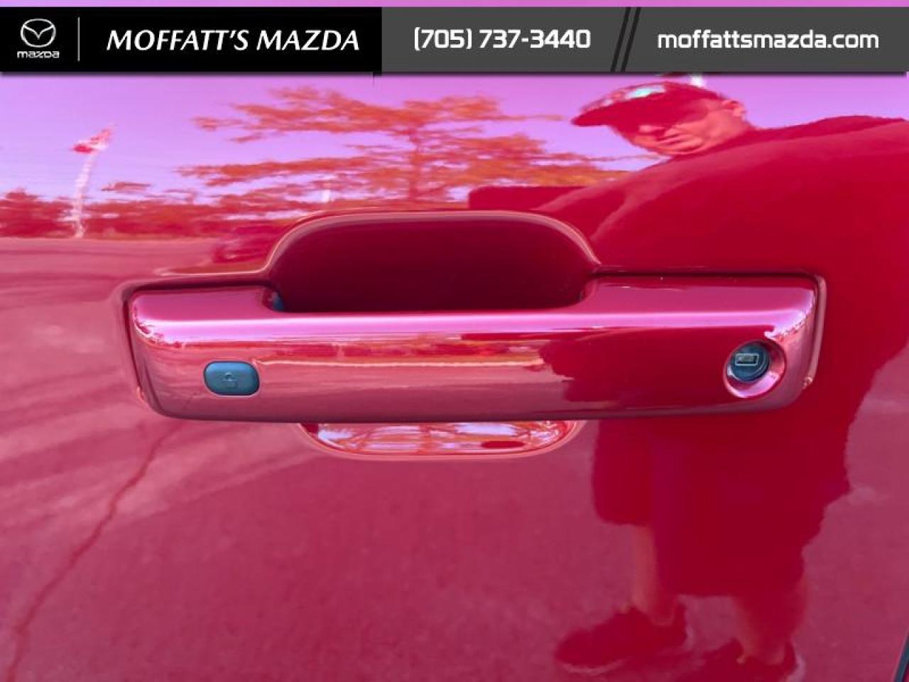 2024 Ford F-150 XLT Photo