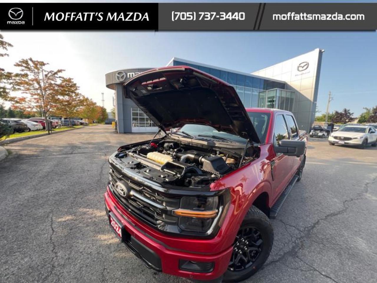 2024 Ford F-150 XLT Photo