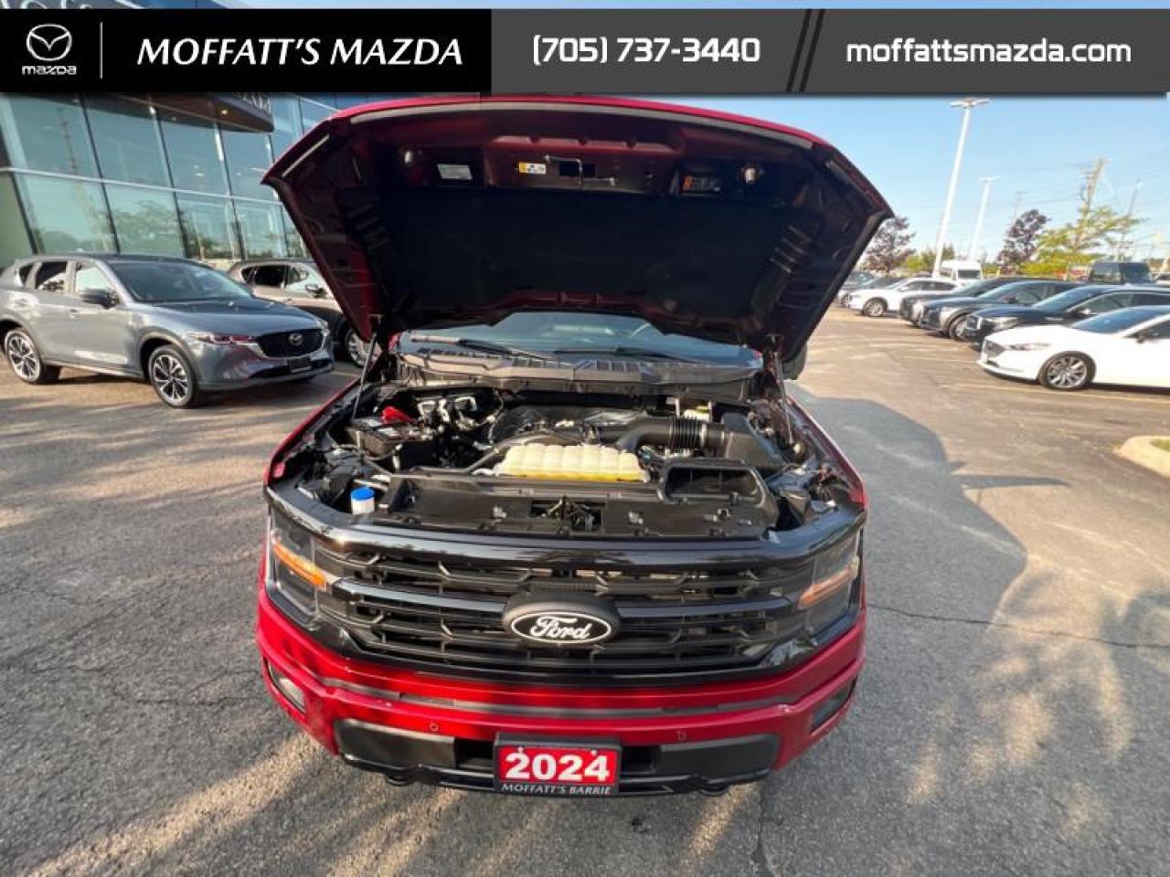 2024 Ford F-150 XLT Photo