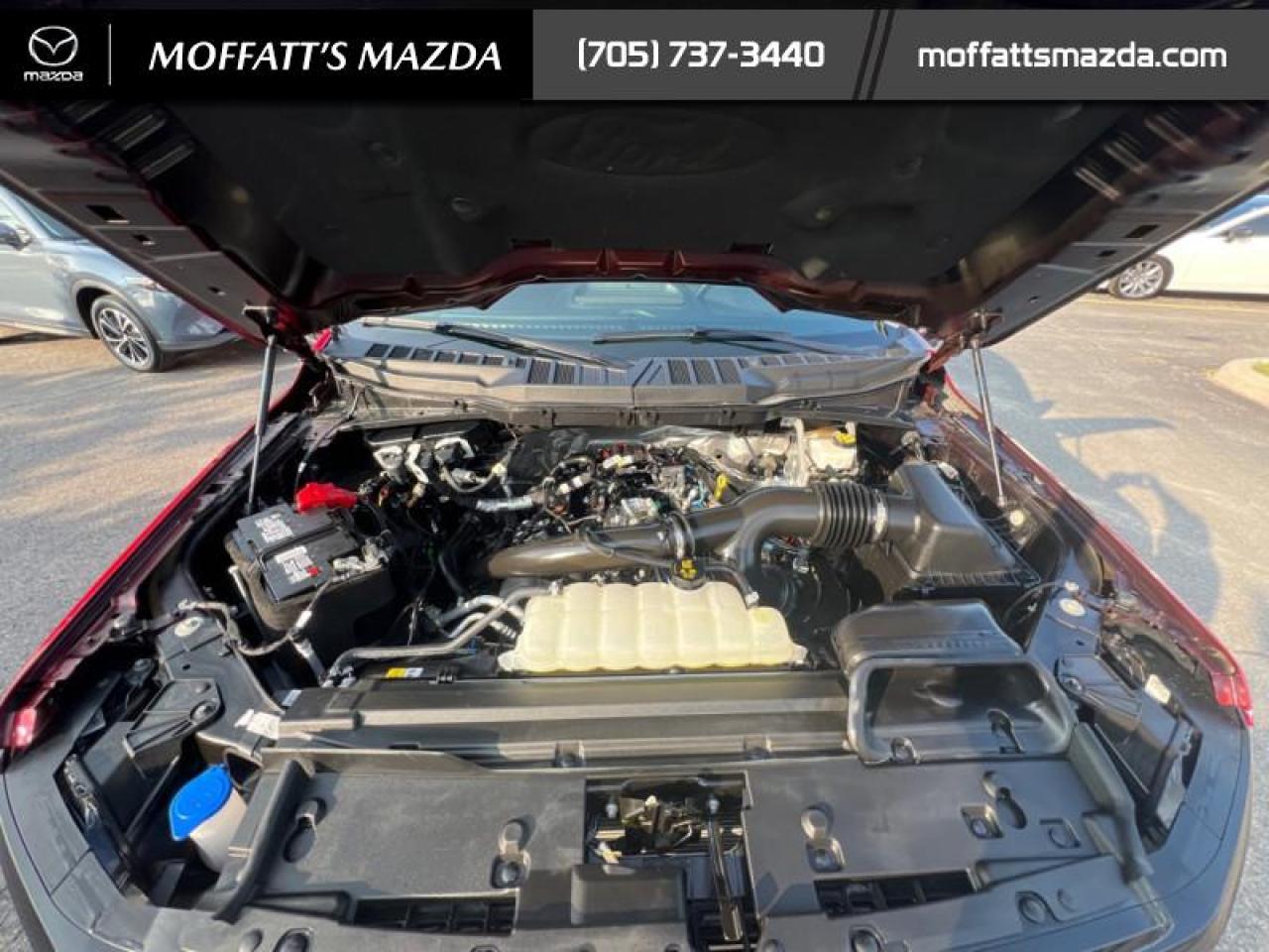 2024 Ford F-150 XLT Photo