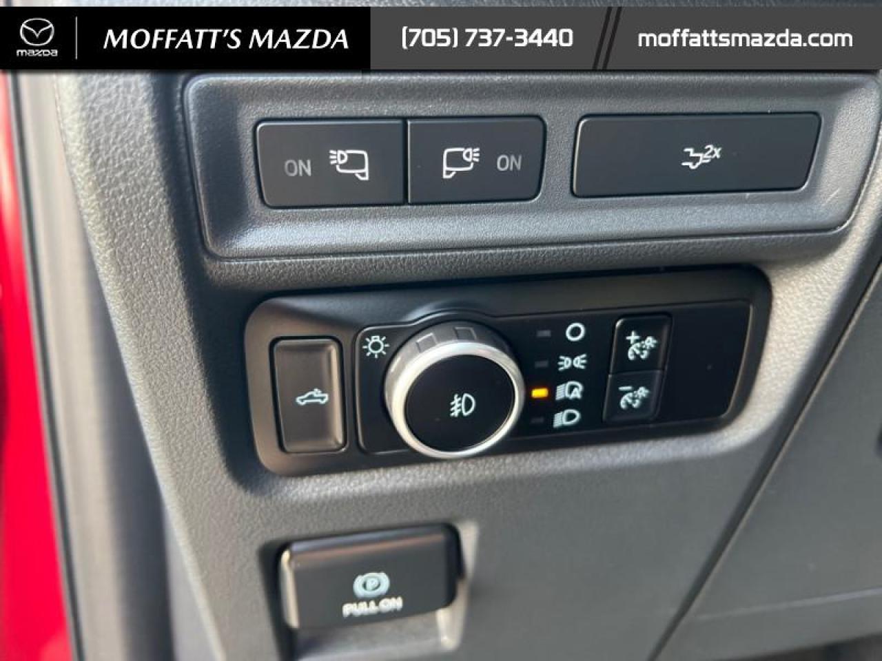 2024 Ford F-150 XLT Photo