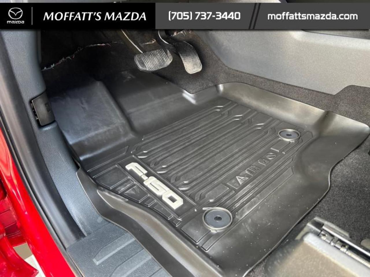 2024 Ford F-150 XLT Photo