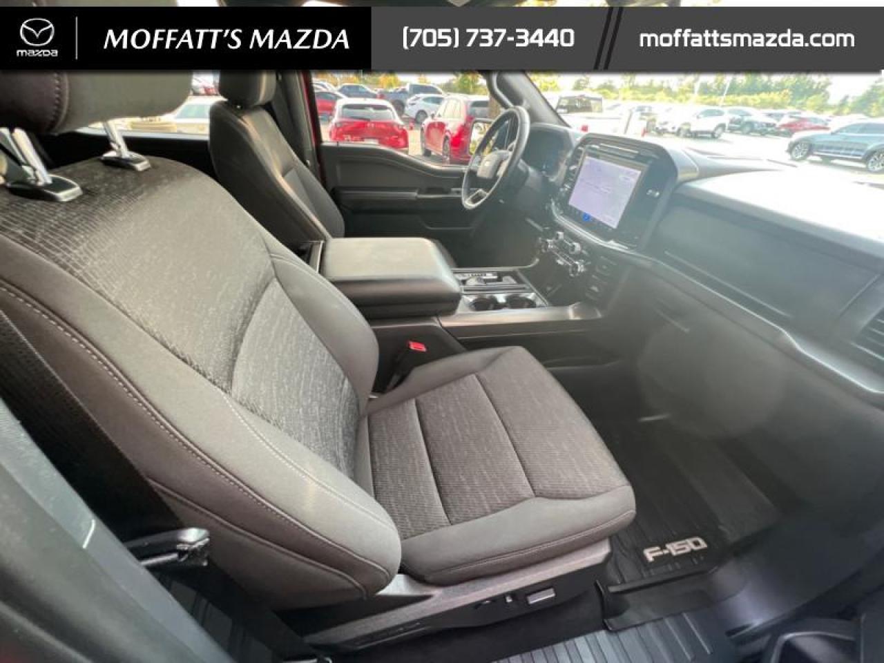 2024 Ford F-150 XLT Photo