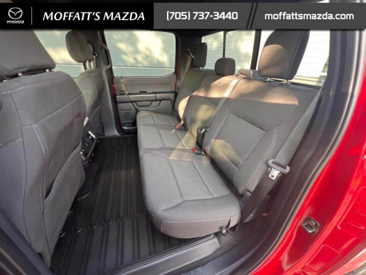 2024 Ford F-150 XLT Photo