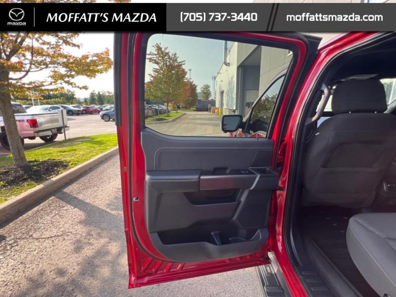 2024 Ford F-150 XLT Photo